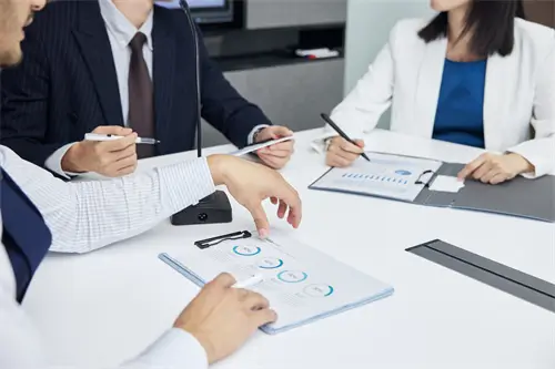 vr公司介绍 wankzvr